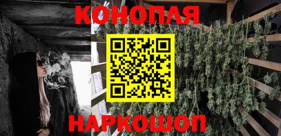 сатива Ливны
