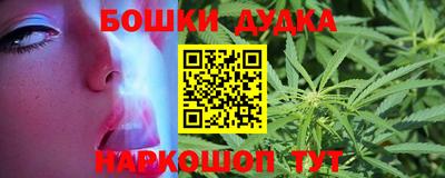 индика Ликино-Дулёво